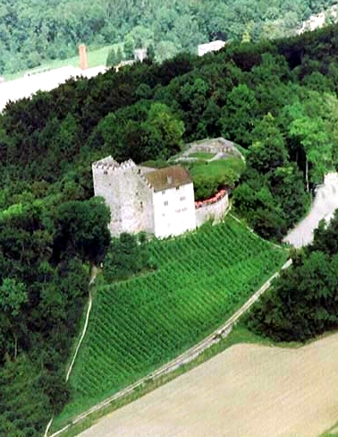Il castello ad Habsburg in Svizzera