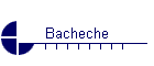 Bacheche