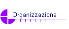 Organizzazione