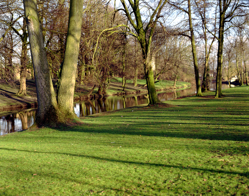 nature_02.jpg