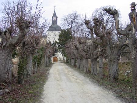 Il castello di Niederleis