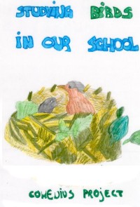 STUDYING BIRDS IN OUR SCHOOL