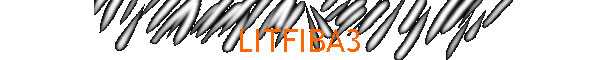 LITFIBA3