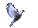 Liberta'